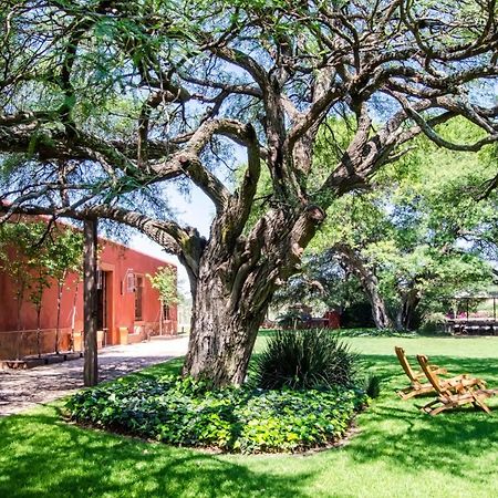 Puerta Del Lobo Villa Querétaro Стая снимка