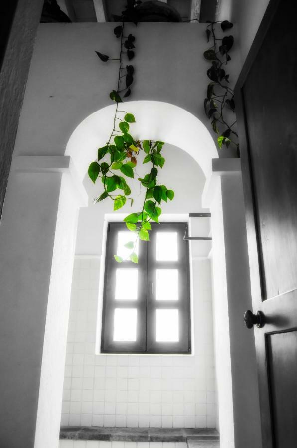 Puerta Del Lobo Villa Querétaro Екстериор снимка