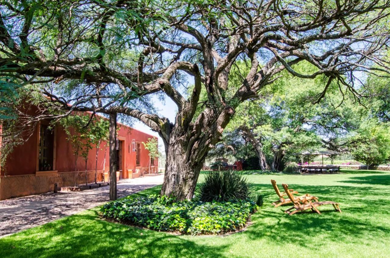 Puerta Del Lobo Villa Querétaro Стая снимка